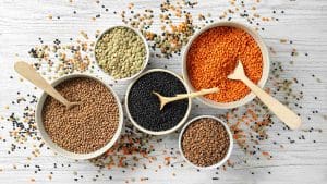 pulses-and-fibre