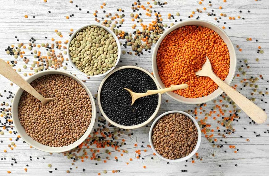 pulses-and-fibre