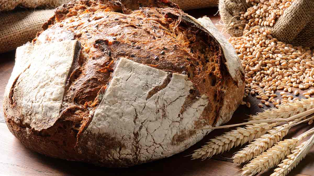 whole-wheat-bread