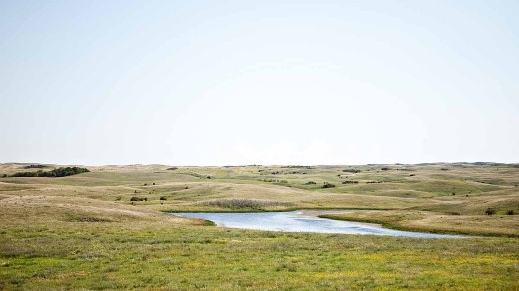 grasslands