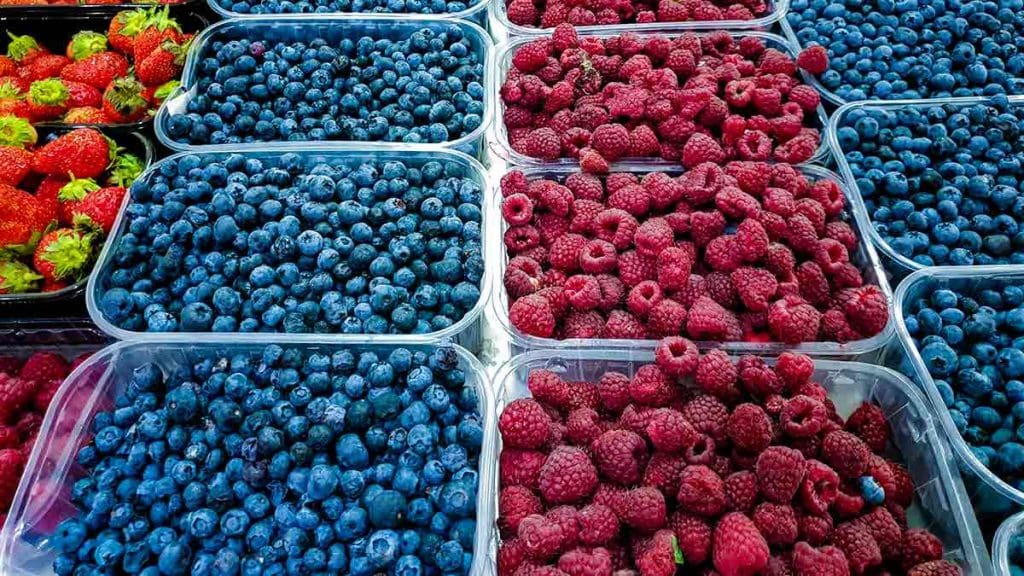 berry trays