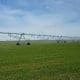 irrigation centre pivot