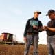 farmer and son growing lentils