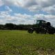 spraying herbicide