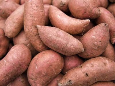 sweet potato grocery