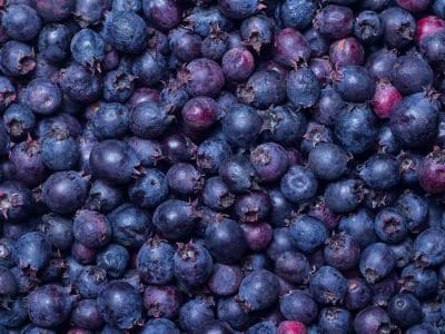 saskatoon berries