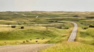 canadian grasslands